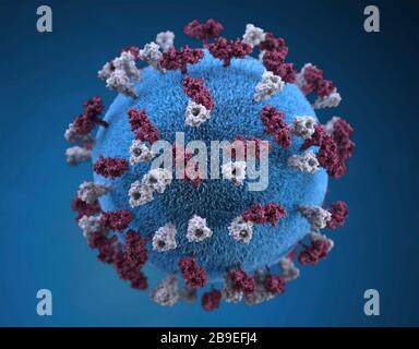 3D illustration of spherical-shaped, measles virus particle. Stock Photo