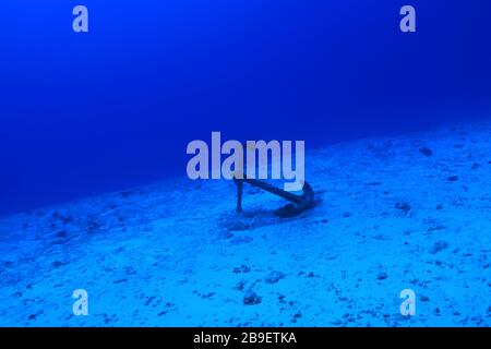 Anchor of ship underwater on the bottom of the sea Stock Photo - Alamy