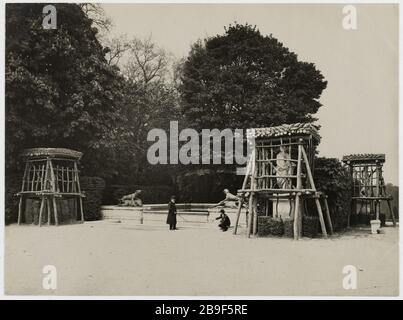 The protection of monuments of Paris during World War Versailles La protection des monuments de Paris pendant la Première guerre mondiale. Château de Versailles (Yvelines), 1914-1918. Photographie de Godefroy Ménanteau. Paris, musée Carnavalet. Stock Photo