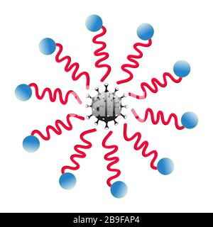 Soap molecule kills corona. Mechanism to remove dirt on the skin with a surfactant. Stearic acid (soap) molecule space-fill model. Stock Photo