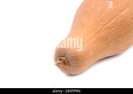 Orange, ripe pumpkin on an isolated white background Stock Photo