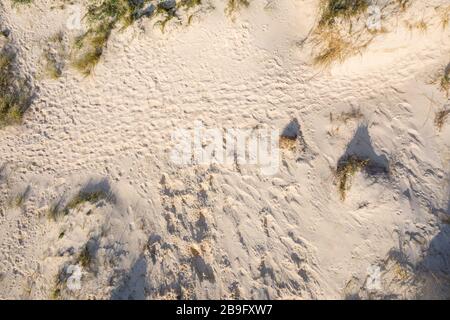 aerial image of footprints in the sand on a sand dune Stock Photo