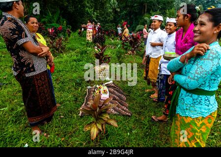 Balinese People Visit Their Family’s Graves During A Local Holiday, Bali, Indonesia. Stock Photo