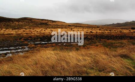 boggy fields in the mountains, rows of turf staks, Connemara, Galway, Ireland Stock Photo