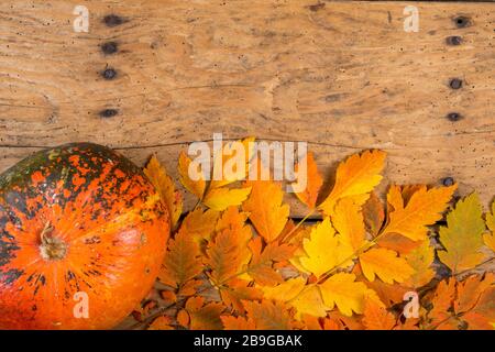 Helloween pumpkins over an old rustic vintage table - top view, copy space Stock Photo