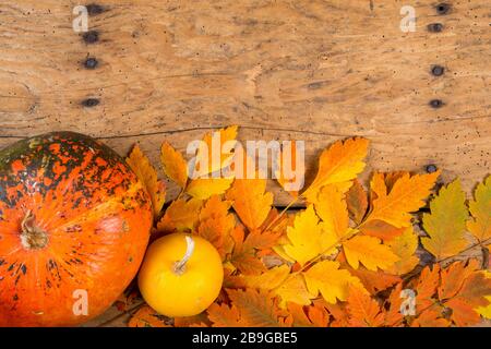 Helloween pumpkins over an old rustic vintage table - top view, copy space Stock Photo