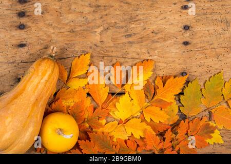 Helloween pumpkins over an old rustic vintage table - top view, copy space Stock Photo