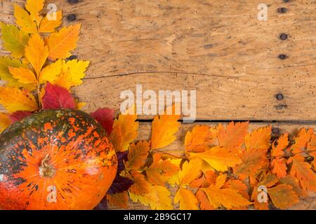 Helloween pumpkins over an old rustic vintage table - top view, copy space Stock Photo