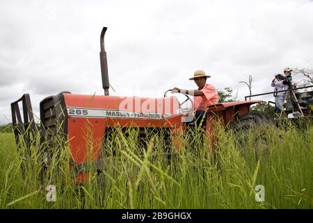 Tractor in Field with Braquiária-umidícula, Brachiaria humidicola) Pasture, Poacea, Miranda, Mato Grosso do Sul, Brazil Stock Photo
