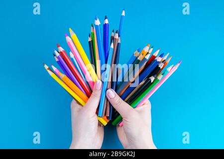 bunch of colored pencils in hand. A woman's hand holds a set of colored pencils on a blue background Stock Photo