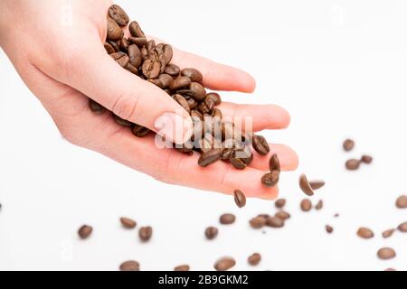 Fresh roasted coffee beans falling out of hand in front of a white background Stock Photo