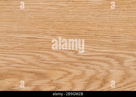 Texture of natural oak wood oiled and polished surface structure Stock Photo