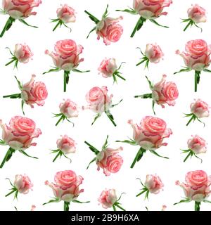 Wallpaper seamless pink flower pattern on white background. Seamless pink roses pattern for fabric and wallpaper, for design and decoration.Beautiful Stock Photo