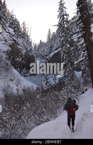 Winter hike to Tamawanas Falls, where Cold Spring Creek flows over a 100ft lava cliff on the eastern side of Mt Hood, Oregon, USA. Stock Photo