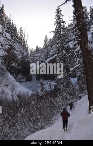 Winter hike to Tamawanas Falls, where Cold Spring Creek flows over a 100ft lava cliff on the eastern side of Mt Hood, Oregon, USA. Stock Photo