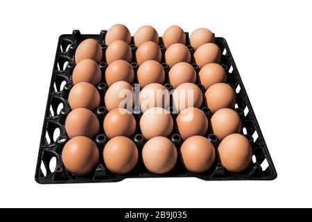 Eggs in package black plastic, Isolated on white background. with clipping path. Stock Photo