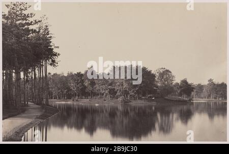 Big Island the great lake, Bois de Boulogne, 16th district Grande île du grand lac, bois de Boulogne, 16ème arrondissement. Tirage sur papier albuminé à partir d'un négatif sur verre au collodion humide. 1858-1862. Photographie de Charles Marville (1813-1879). Paris, musée Carnavalet. Stock Photo