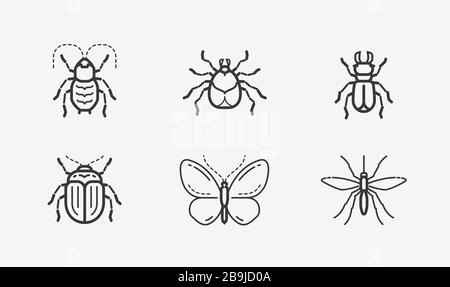 Insects icon set in linear style. Animals vector illustration Stock Vector