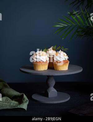 Tropical cupcakes with lemon and oranges on dark background with palm tree Stock Photo