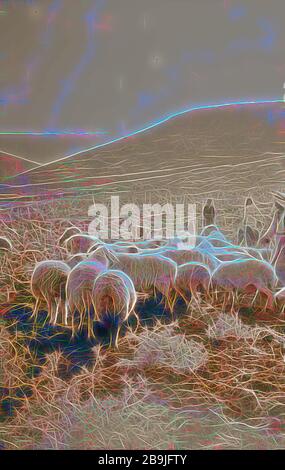 23rd Psalm, sheep 1898, Middle East, Israel and/or Palestine Stock Photo