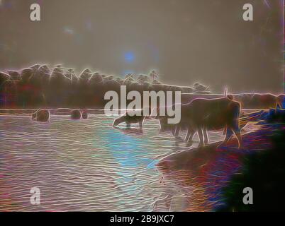 Iraq, cows in moonlight at river, or sunrise or sunset. 1932, Iraq Stock Photo