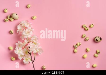 Holiday Easter festive card from quail eggs and cherries branch on a pink background, copy space. Top view. Happy Easter concept. Stock Photo