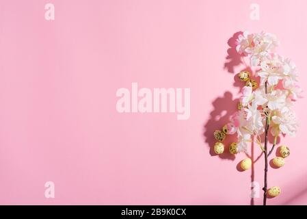 Holiday Easter festive card from quail eggs and cherries branch on a pink background, copy space. Top view. Happy Easter concept. Stock Photo