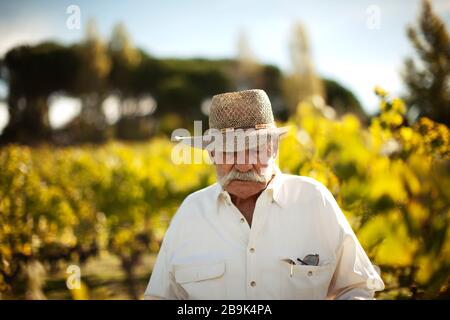 Senior man standing in his vineyard Stock Photo