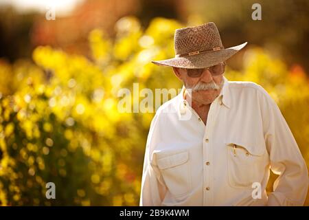Senior man standing in his vineyard Stock Photo