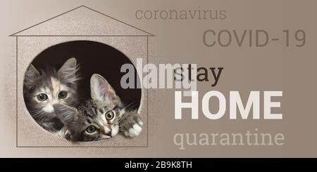 Coronavirus spread prevention concept. Two kittens peeking out of their house and a call to stay at home. Horizontal banner with text Stay Home. Stock Photo