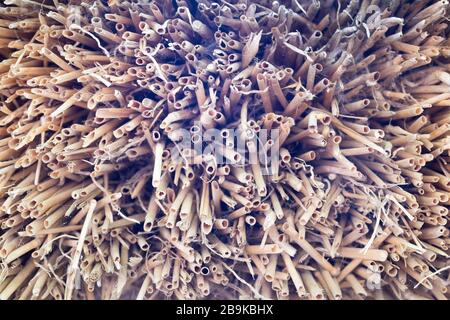 Fragment of traditional Ukrainian thatched roof. Old sheaf of straw with cobwebs. Rural background. Country background. Stock Photo