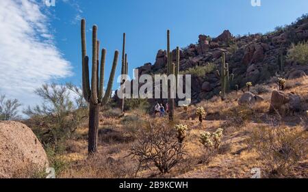 Multiple hikers going up Pinnacle Peak Hiking Trail in Scottsdale AZz during Spring 2020 Stock Photo