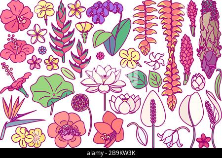 vector big exotic flower set. cute drawn plant art Stock Vector