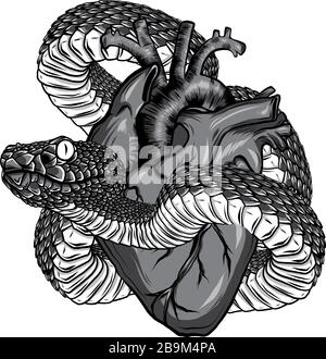 monochromatic Snake and heart tattoo. Symbol of love, envy, evil t-shirt design vector Stock Vector