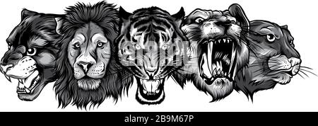 monochromatic Wild Animals Heads Set. Lion, Tiger, Jaguar, Lynx - Vector Mascot Logo Design Stock Vector