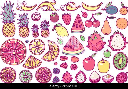 vector big exotic fruit set. cute drawn plant art Stock Vector