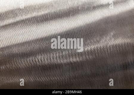 Close-up texture of flat steel surface manually cleaned with a flap wheel angle grinder. Stock Photo