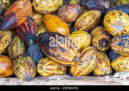 Cocoa stack at grocery on tropical marketplace outdoor,Samana peninsula,Dominican republic. Stock Photo