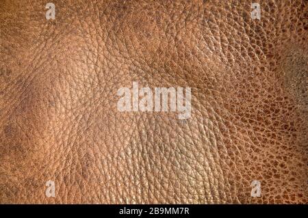 Weathered Brown Leather Surface Texture Stock Photo
