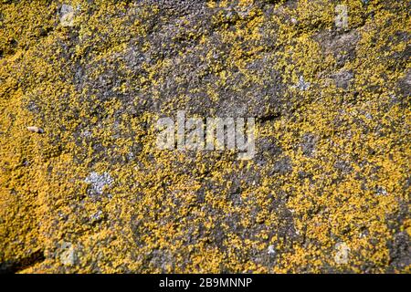 Rustic stone,The texture of stone wall corrosion or grunge stone texture use for web design and wallpaper background. Stock Photo