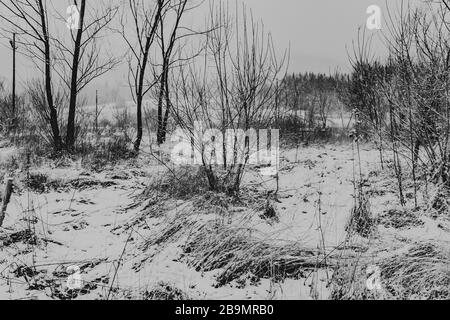 Wetlina in the Bieszczady Mountains in Poland Stock Photo