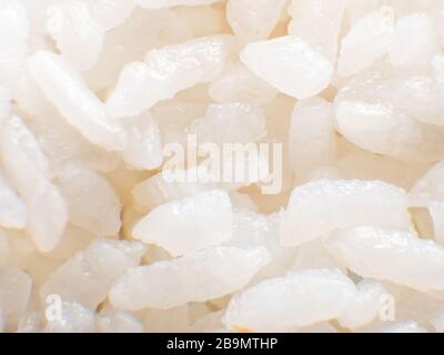 MEXICO CITY, MEXICO - february 02, 2019.Macro view of cooked japanese sushi rice. This type of rice is also known as Komachi rice in Japan. Stock Photo