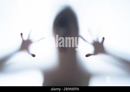 Blurred silhouette shadow of a terrorific body shape behind a white background showing head and creepy fingers. Horror concept of a visitor from out o Stock Photo