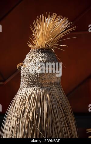 Powderbark Tree Grass trees (Xanthorrhoea) with black trunks in native forest with ...