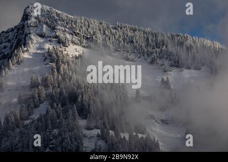 Awesome winter landscape with spruces covered in snow. Frosty day, exotic wintry scene. Magic Carpathian mountains, Ukraine, Europe. Winter nature wal Stock Photo