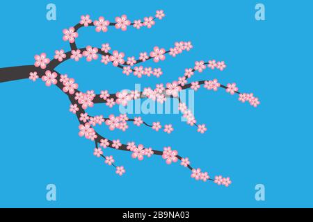 Cherry blossom flowers on branches isolated on blue background. Flat sakura Japan cherry branch with blooming flowers vector illustration. Spring time Stock Vector
