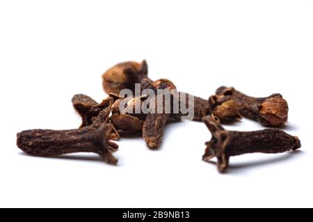 dried cloves on a white background. Close-up photo. Stock Photo