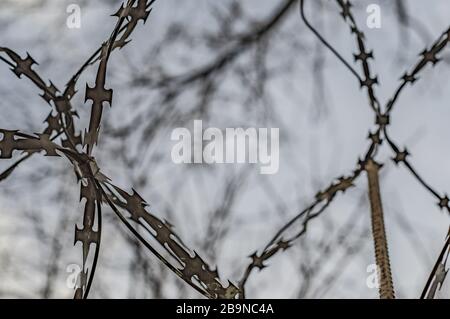 Fence with barbed wire against the sky and branches Stock Photo