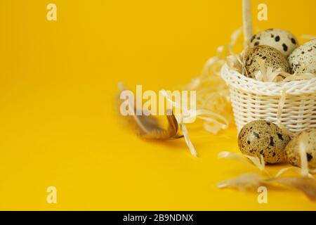 White wicker basket filled with straw,quail eggs and feathers on a yellow background. The concept of Easter Holidays. Easter card.Close-up. Stock Photo