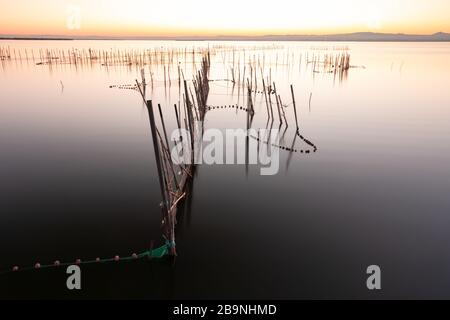 Image of the silky water of a lake from which reeds emerge with fishing nets tied to them. In the coastal lagoon of Valencia, Spain. Nature concept Stock Photo